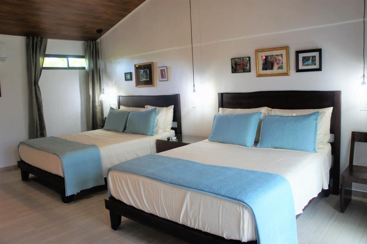נובו ארנל Casa Donna Rosa B&B מראה חיצוני תמונה